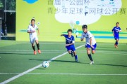 b体育官方网站- 尼姆市政府修建足球主题公园，打造城市文化地标  